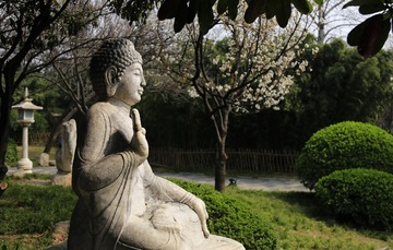 “别拍我，不喜欢拍照”