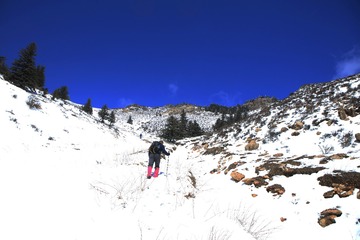 贺兰晴雪