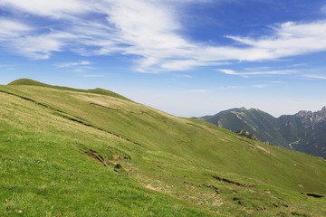贺兰山巴峰草甸