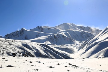 风雪岗什卡