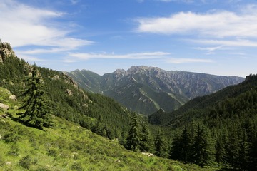 贺兰山深处