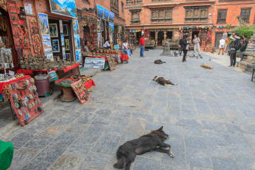 佛系尼泊尔，躺平的生活