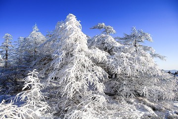 秦岭雪淞