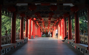 桥