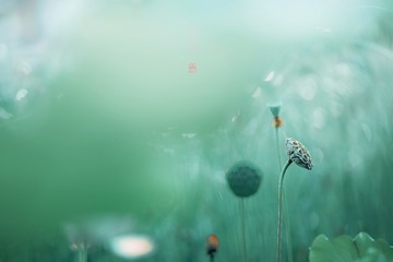 IMG_5257-1