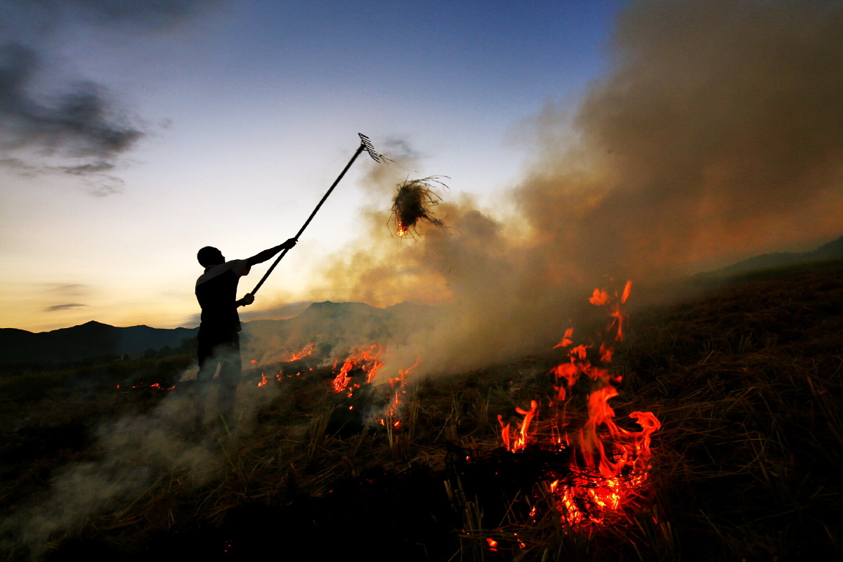 烧稻草