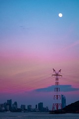 BE8566F6-E5C3-4F7D-80C2-00A1E8A1F3EE/L0/001