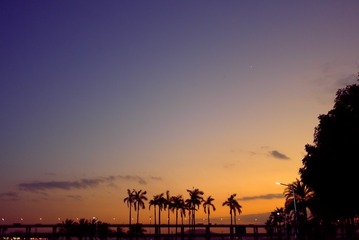 002244B3-537C-4443-8D4E-5AA3A1B6D6D1/L0/001