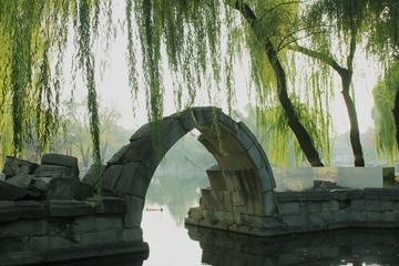 IMG_5037_