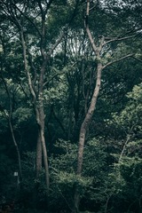 8F34A897-4D8C-4F80-B134-2279A8448920/L0/001