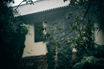 4EAE84FC-D9C1-4D55-A526-FFCD800372AB/L0/001