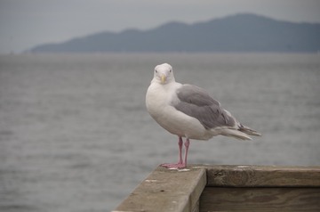 143473