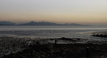 _DSC1005
