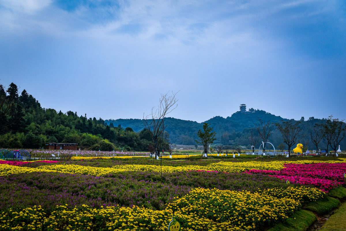 景德镇高岭中国村