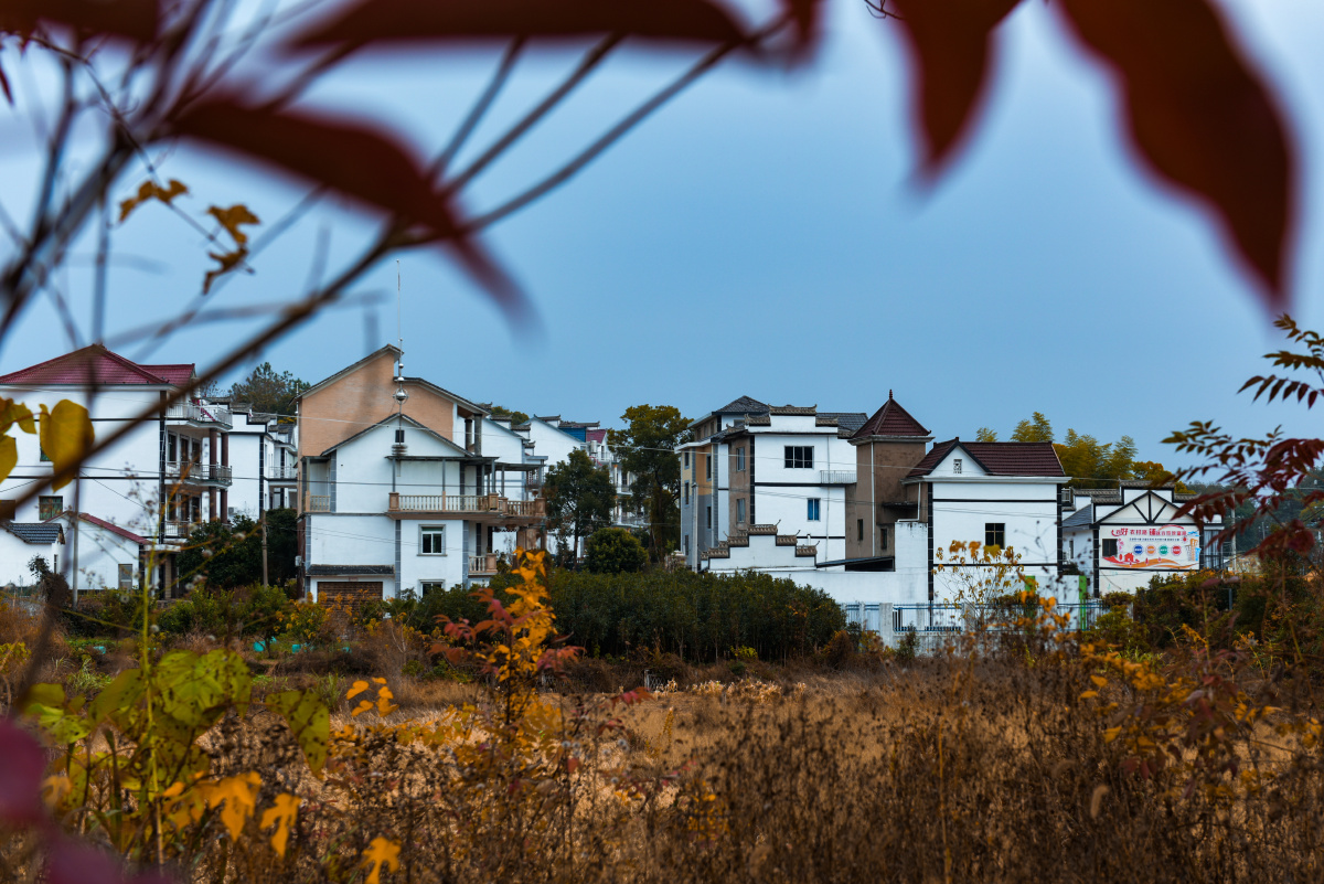 鄱阳美丽乡村