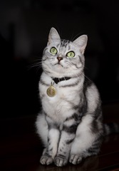 1111252