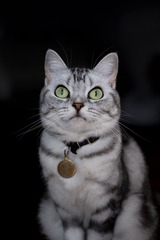1111251