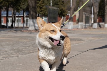 300958