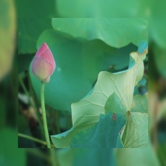 55321F56-4110-4F4B-BC9D-9EDC8BE3EF82/L0/001