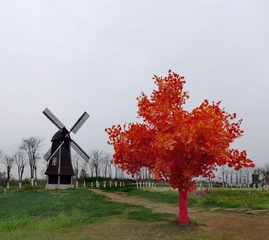 171805