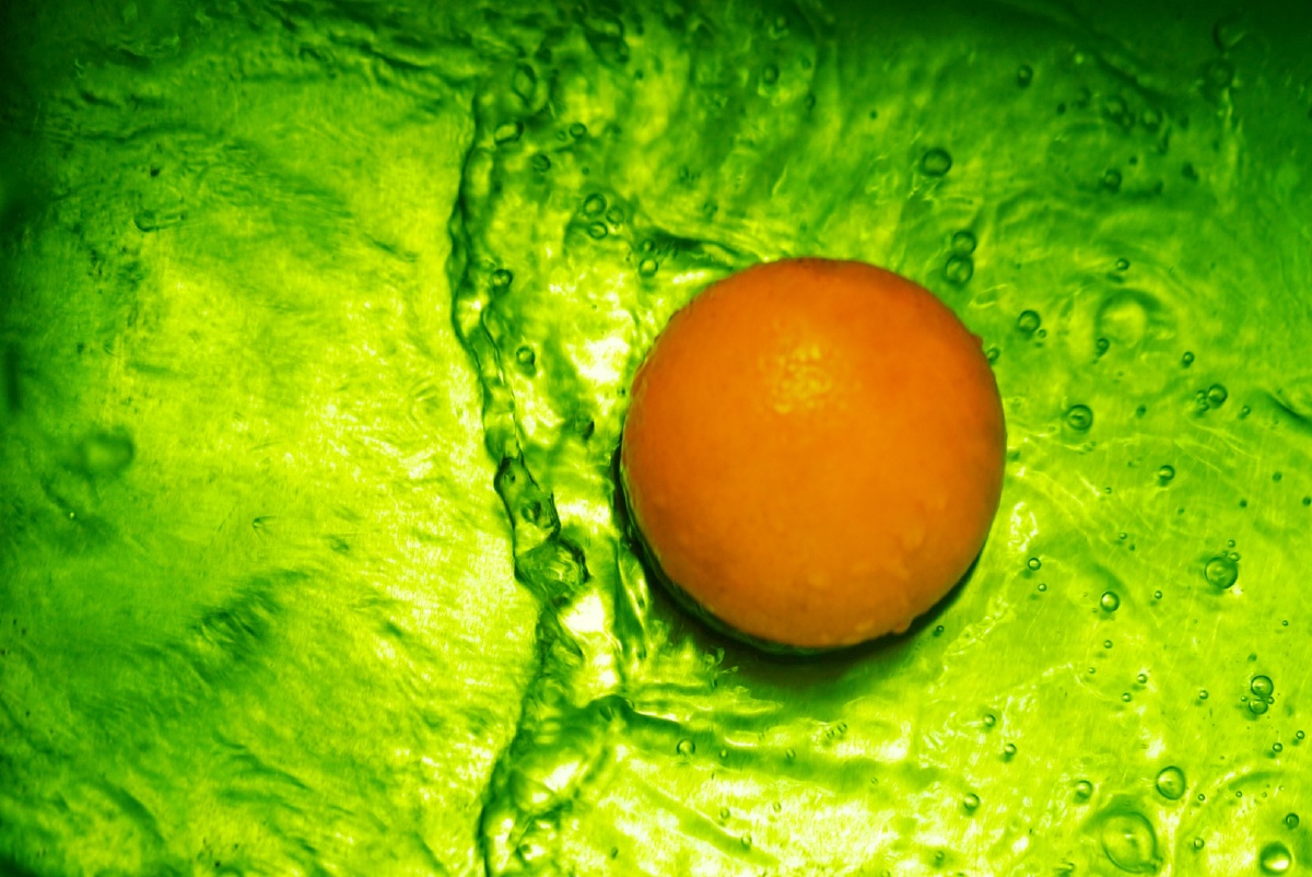 夏橘,阳光轻吻过的橙子 - lh914 - 图虫