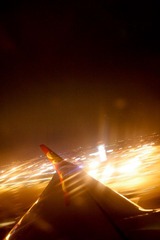 fly in the night