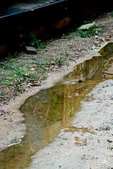 reflection