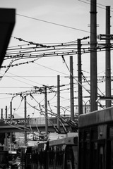 Traffic Net