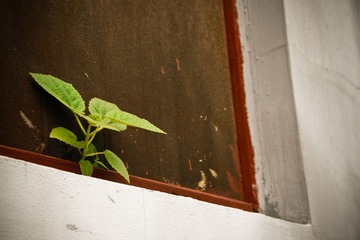 green power