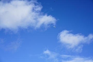 ADA04908_DxO