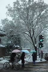 雪下交通