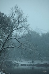 烟雾，只为更美