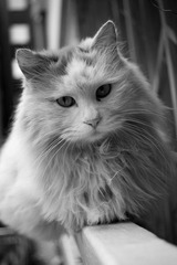DSC01920.JPG