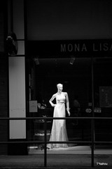 IMG_2951_v75