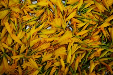 DSC_5959_DxO