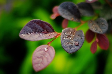 DSCF4565_