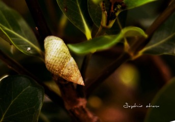 DSCF9534-3_2_2