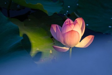 DSCF8721-992