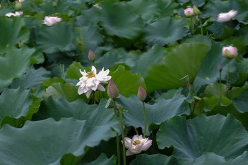 DSCF2028-995
