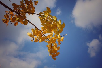 IMG_4918-01