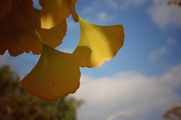 IMG_4924-01
