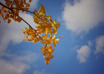 IMG_4917-01