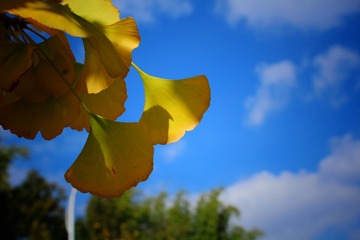 IMG_4920-01