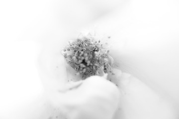 AC6D0C0D-D13E-4B64-A255-686A5F6C5AD3/L0/001