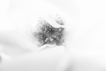 D9B48364-A6D3-4FC5-9463-2B1C22231523/L0/001