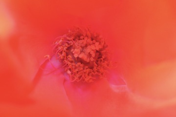 94CD750A-B5D2-4E24-BF39-0087AD47E51A/L0/001