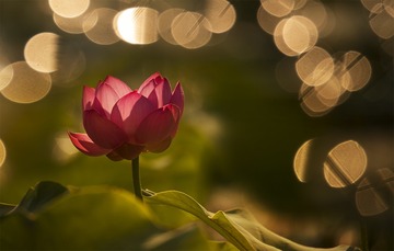 ChMkJldg7OiIRoUWAAcIwFuyzkcAASoKwBci58ABwjY023