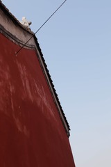 301419
