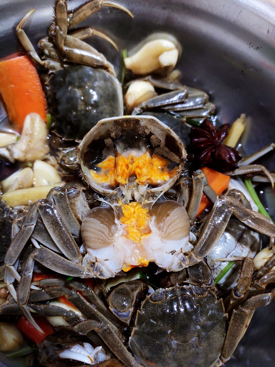 自己卤的河蟹,随手拍几张… - 多肉入魔 - 图虫