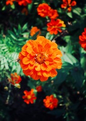 7077937E-59C2-48B9-9BCE-32340BCA74F9/L0/001